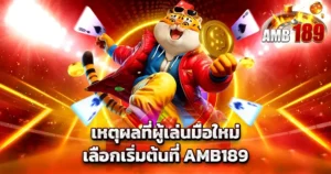 เหตุผลที่ผู้เล่นมือใหม่เลือกเริ่มต้นที่ AMB189